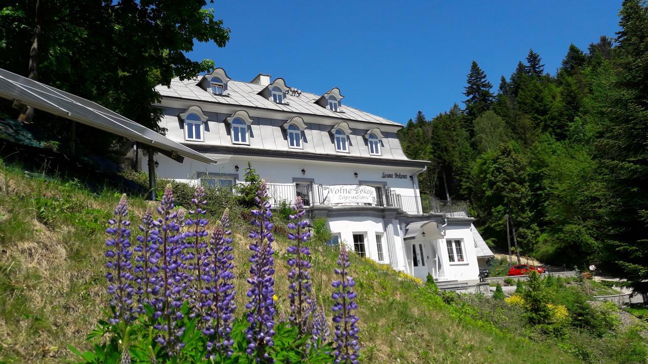 Lesna Polana- Blisko Centrum, Mini Spa, Cicha, Spokojna Okolica, Parking Gratis Krynica Zdroj Luaran gambar